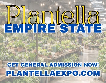 ESP Plantella 1200x450