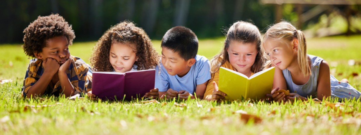 Adirondack Literacy Council book giveaway