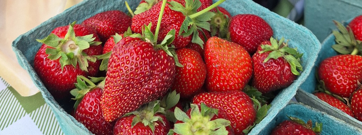 Strawberries at Yada Yada Yada Farm