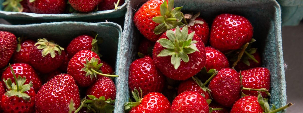 Fresh strawberries available at several farmstands