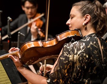 Burleigh, Dvoř&aacute;k, and Beethoven  
