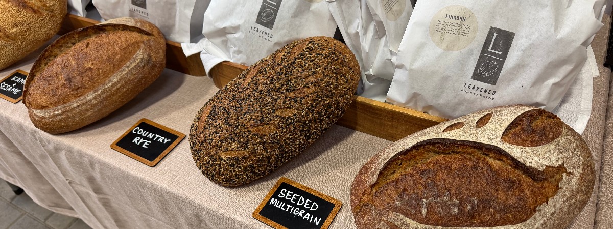 Leavened