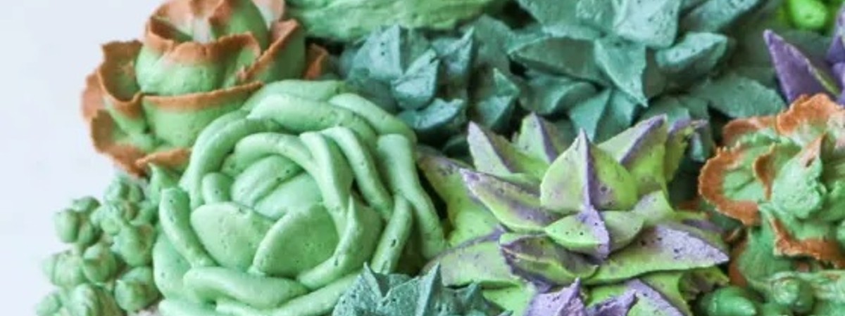 succulents shaped cake