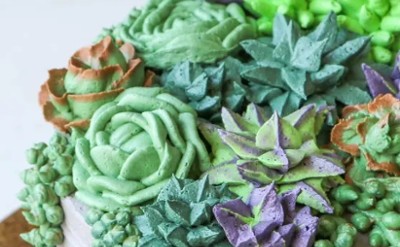 succulents shaped cake
