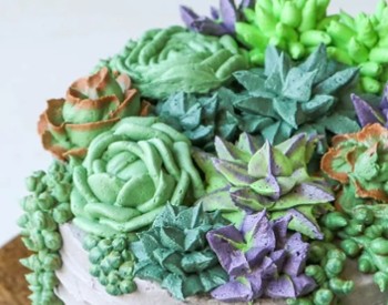 succulents shaped cake