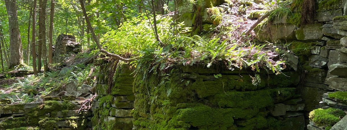 hike