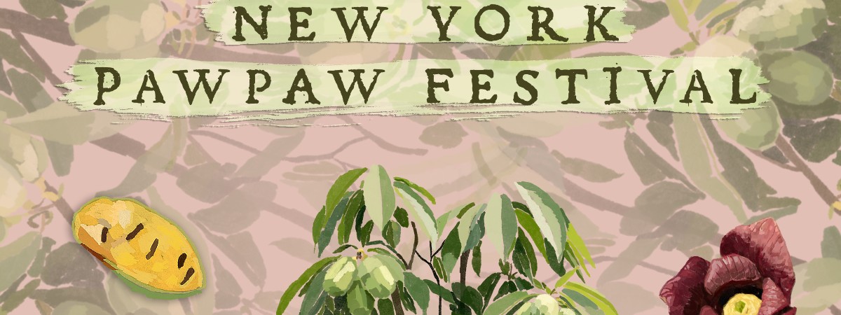NY Pawpaw Flyer