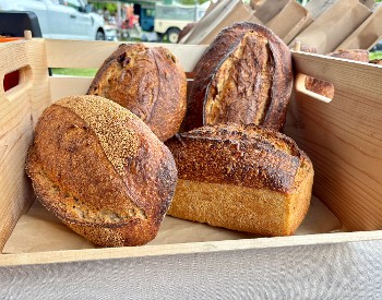 Sourdough at Bakery Suzanne