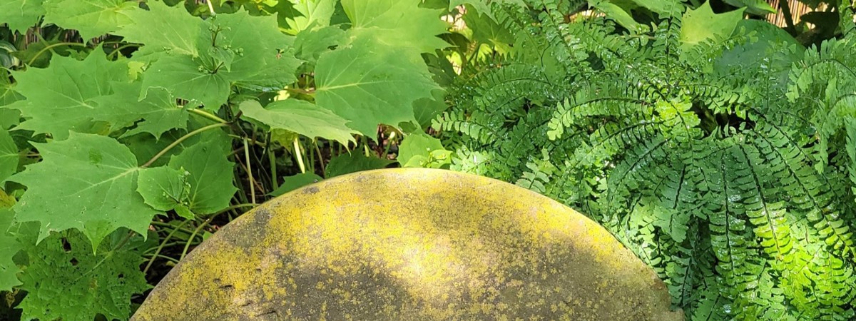 Art in the Garden