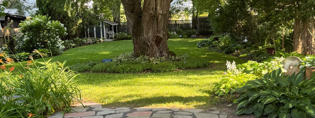 Secret Garden