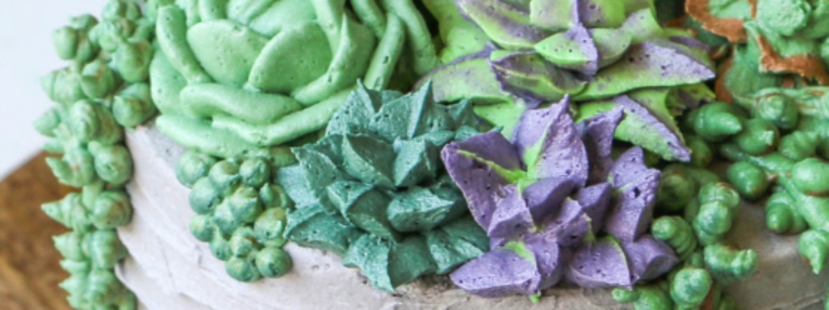 buttercream succulents cake