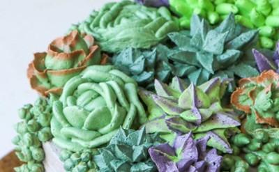 buttercream succulents cake