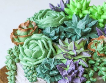 buttercream succulents cake