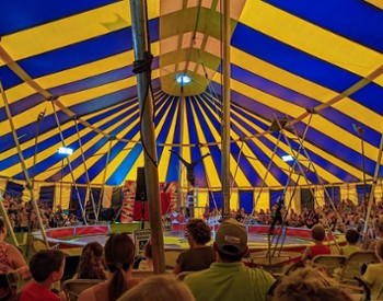 Zerbini circus