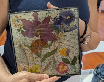 pressed flowers