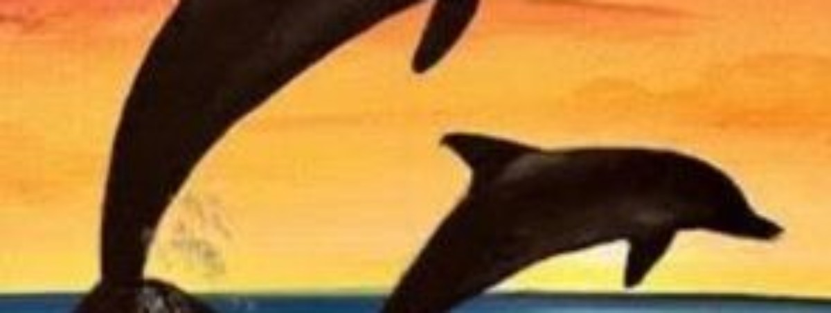 Dolphin jumps