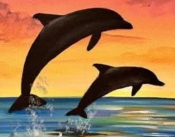 Dolphin jumps