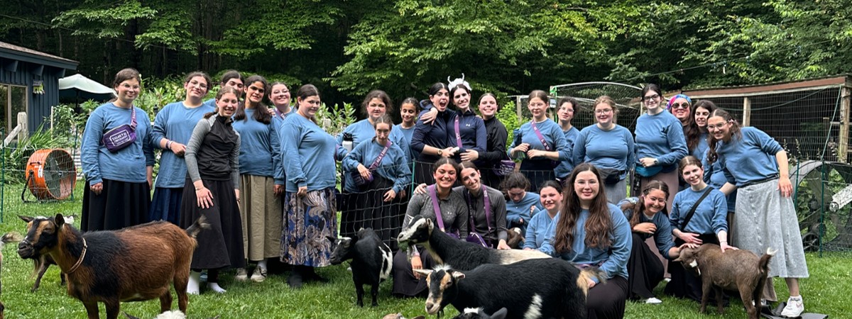 intothewoodsfarmny.com