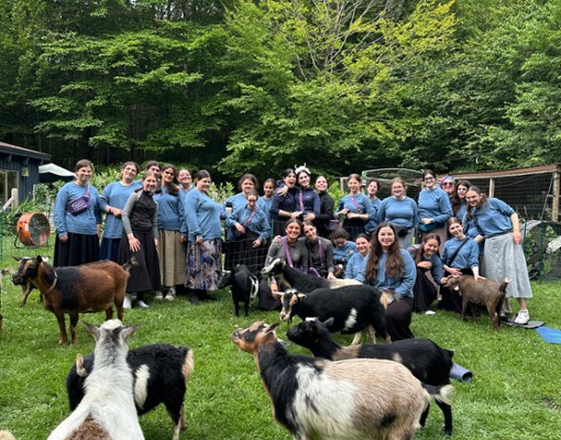 intothewoodsfarmny.com