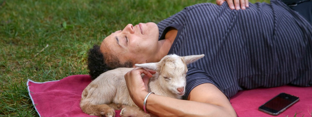 intothewoodsfarmny.com