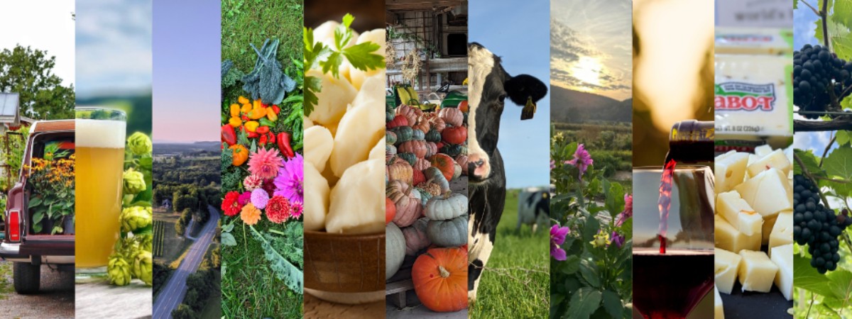 Something fun for everyone! Wine, free cheese samples, live music and more on this self guided tour!