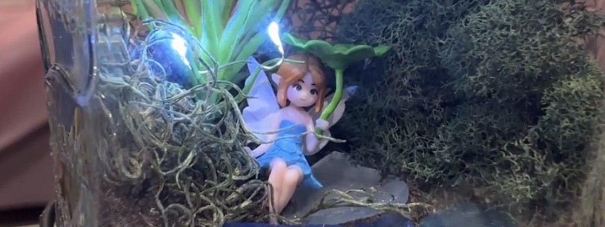 terrarium