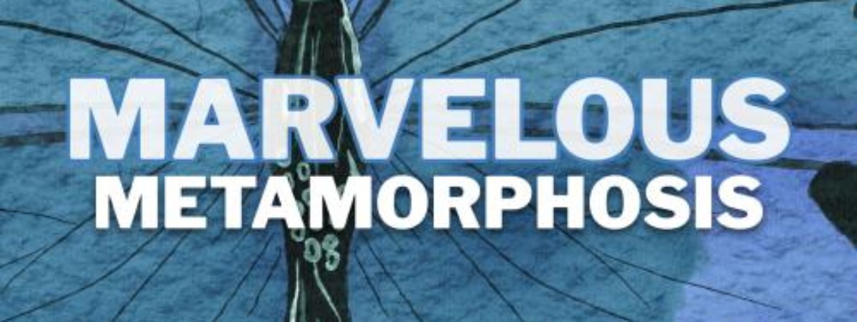 Marvelous Metamorphosis text with butterfly background.