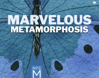 Marvelous Metamorphosis text with butterfly background.