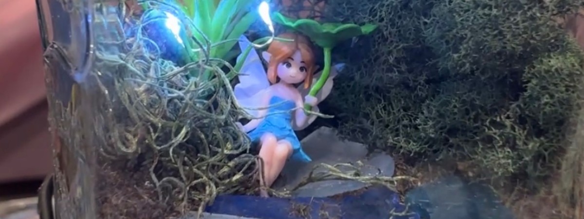 Terrarium Building