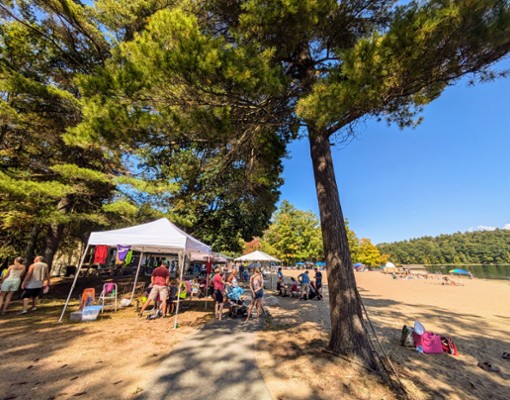 naturefest at moreau lake state park