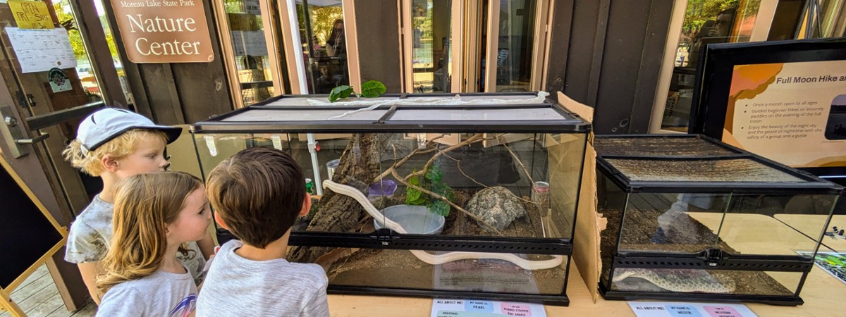 naturefest at moreau lake state park