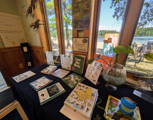 naturefest at moreau lake state park