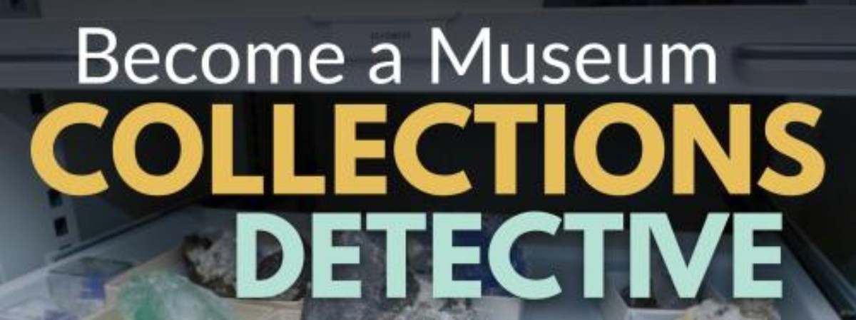 Become a Museum Collections Detective text with geological samples in the background.