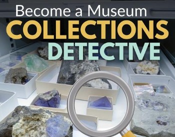Become a Museum Collections Detective text with geological samples in the background.