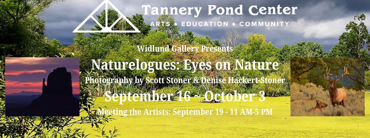 Widlund Gallery Exhibit: Naturelagues