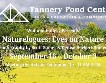 Widlund Gallery Exhibit: Naturelagues
