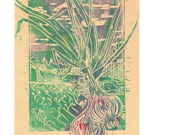 Woodcut print of garlic bulbs with a farm background