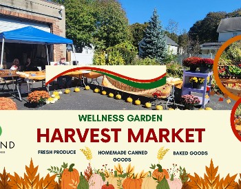 harvest market header