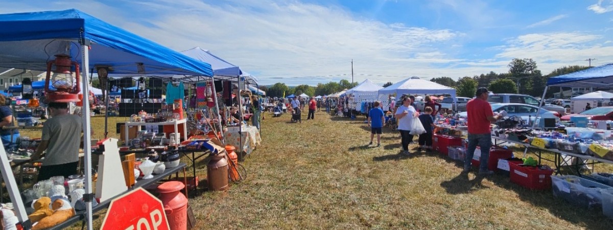 Shoppers browse rows of vendors at the Sand Lake Townwide Garage Sale & Flea Market in Averill Park, NY.