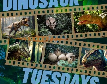 picture of film reels with images of dinosaurs in film strips