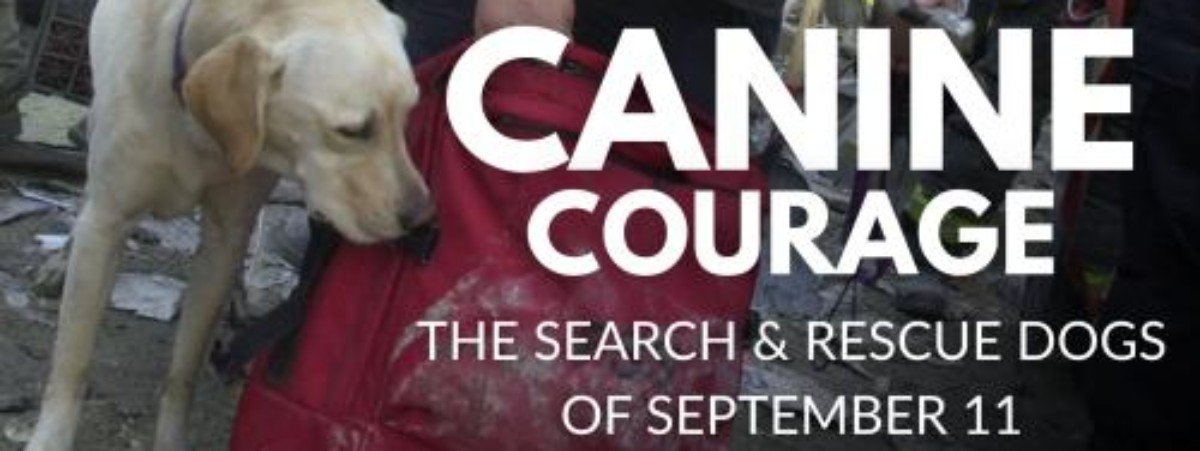 Image of golden retriever and firefighter in background with text in the forefront stating: Canine Courage: The Search & Rescue Dogs of September 11