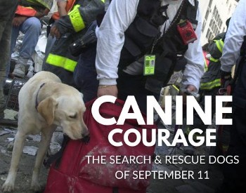 Image of golden retriever and firefighter in background with text in the forefront stating: Canine Courage: The Search & Rescue Dogs of September 11