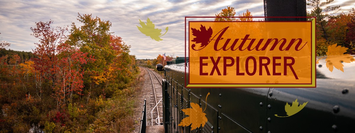 Autumn Explorer Banner