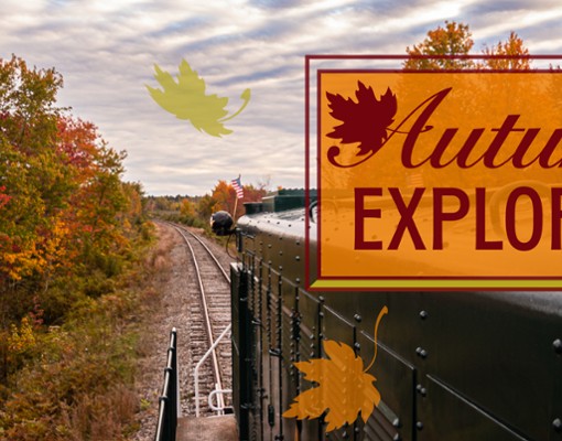 Autumn Explorer Banner