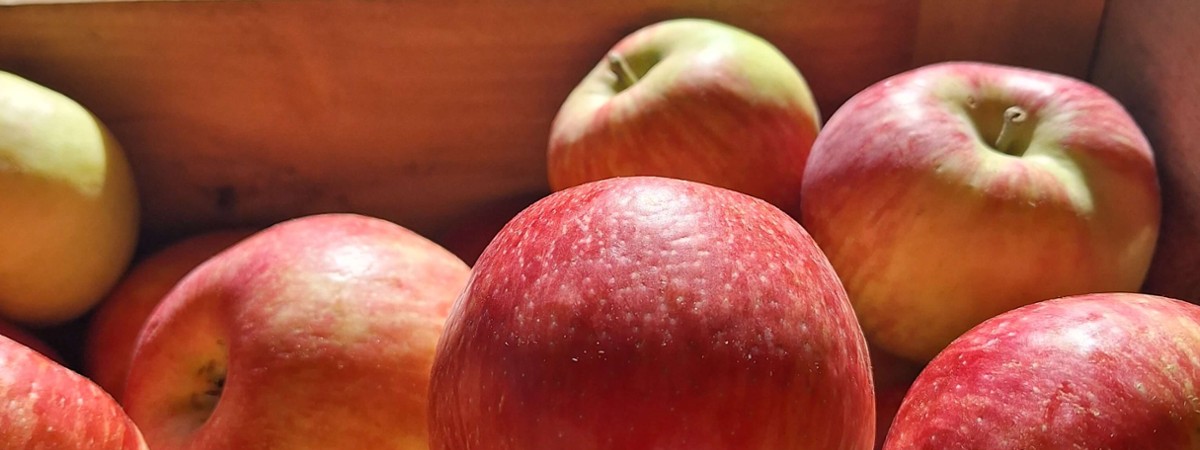 apples
