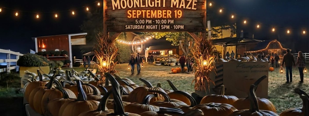 Moonlight Maze