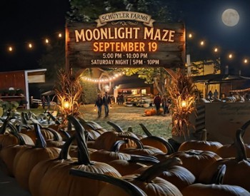 Moonlight Maze