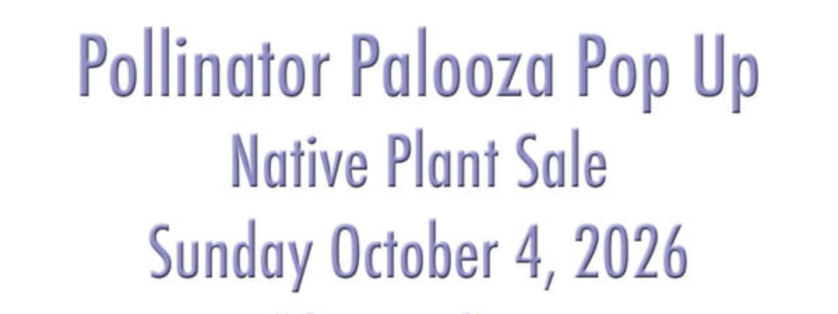 Palooza Pop Up Oct 4