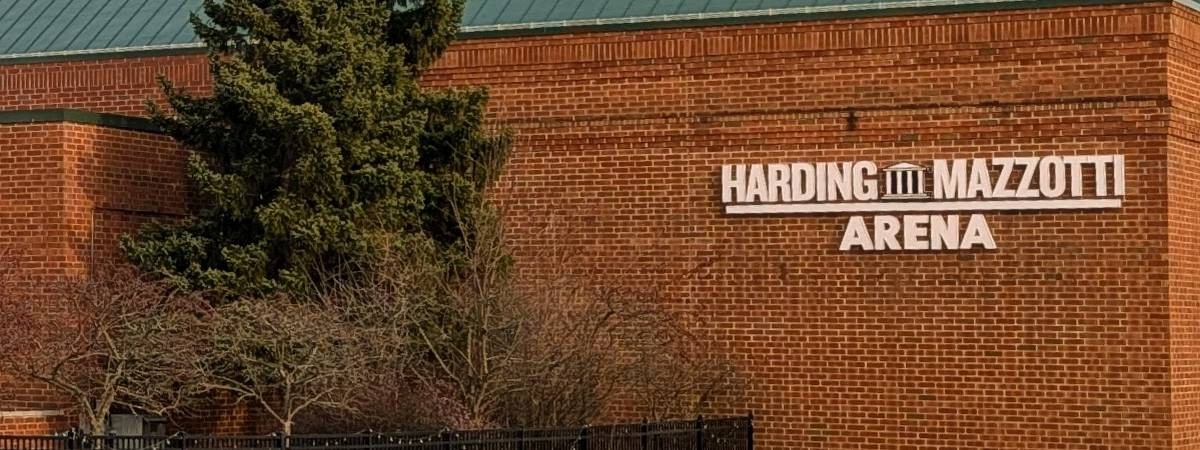 harding mazzotti