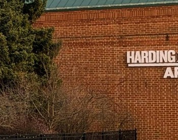 harding mazzotti